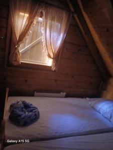 Holiday house with a parking space Jasenak, Gorski kotar - 22746