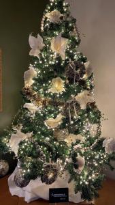 Hôtel Restaurant Verger des Châteaux, Route des vins Haut-Koenigsbourg