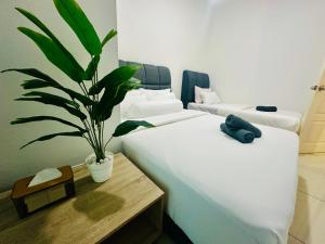 Muji 2B2R 12pax Sunrise Seaview Georgetown Suite