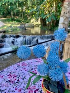 Evergreen2 เอเวอร์กรีนทู