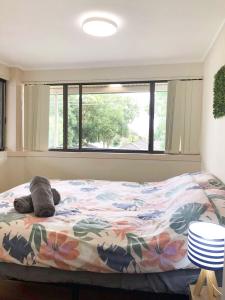 Charlestown Central 7 Bedrooms Front House and Back Unit