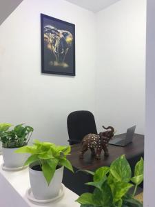 The Mammoth udawalawe