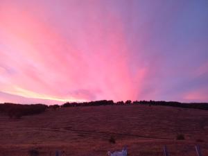 Cabañas La Frontera.