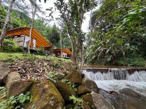 Mornery The Riverside