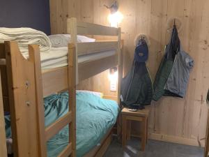 Appartement rénové 2 pièces, centre station, garage, animaux admis - FR-1-836-24