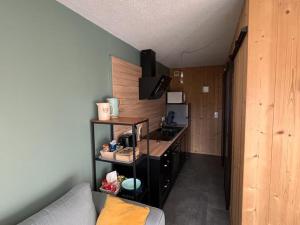 Appartement rénové 2 pièces, centre station, garage, animaux admis - FR-1-836-24