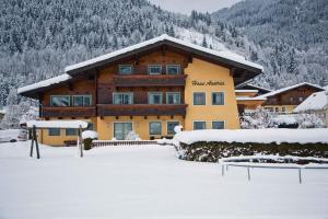 Apartments in Flachau - Salzburger Land 316