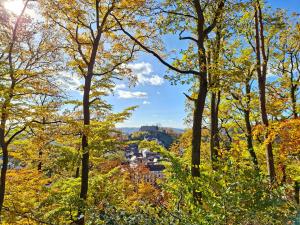 Ferienwohnung Luise unterhalb der Burg Lindenfels