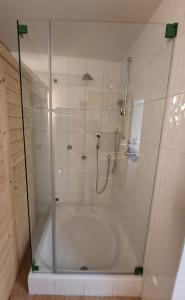 Ferienwohnung mit Bergkulisse