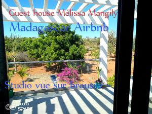 Studio vue sur brousse