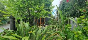 Pollys Retreat