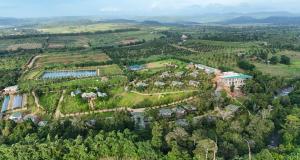 Samanea Wellness Resort