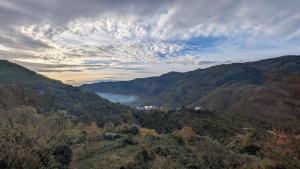 The quiet yellow house