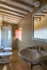 Apartments in Montalcino - Toskana 53469