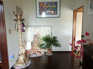 HealingDragon 　Sunrise house Shirahama