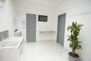 Medellin La 70 - Laureles