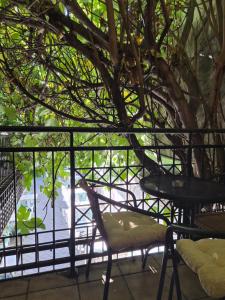 Centar Novi Sad Studio No2 PARKING ON REQUEST