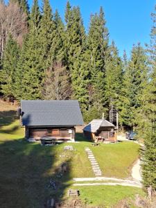 Brunarica na Goreljeku, Pokljuka