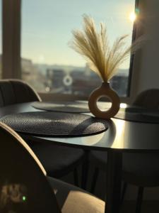 Cosy apartment near city centre