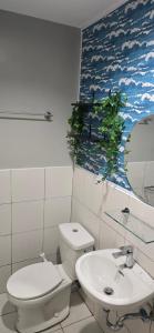 Baguio and Japan Fusion in Baguio City