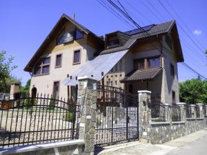 Vila Slanic
