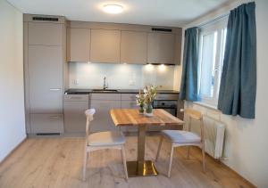 Stylish Aurora Studio with Mountain Views Lenzerheide