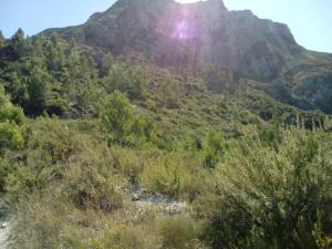 Casa Fernando y Maruja