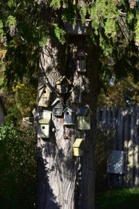 B&B - The Holidayhouse - 5 min Efteling