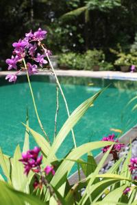 Phoenix Retreat Luxury Villa, Sri Lanka