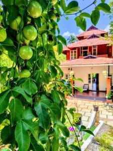 Nostalgia Homestay