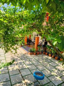 Nostalgia Homestay
