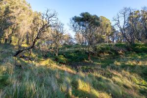 The Sky Room with Studio