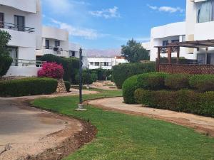 Apartment with pool view,one bedroom,living room,kitchenette,secound floor