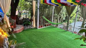 Institute Of Natural Medicine , Yoga & Therapy home