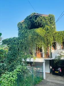 Rock View Home