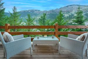 the mountain house in parnassus