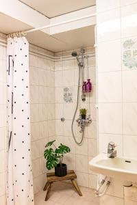 Villa Santa Aurora - Spacious Lapland Home & Sauna by Book Lapland