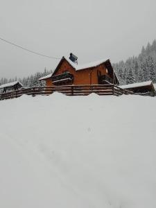 Casa Aurici Vatra Dornei