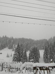 Casa Aurici Vatra Dornei