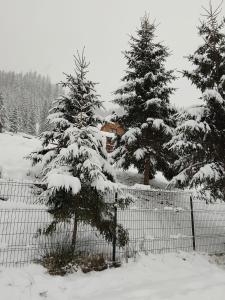 Casa Aurici Vatra Dornei