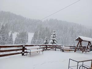 Casa Aurici Vatra Dornei