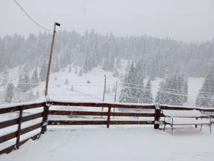 Casa Aurici Vatra Dornei