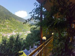 Wooden Cottage jibhi