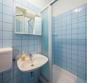 Magic apartments with shared terrace