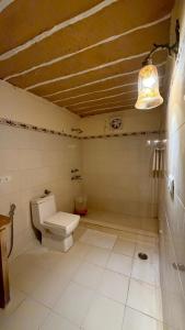 Dune safari camp & resort