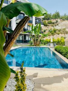 Stylish Lounge Apartment with Pool & Views