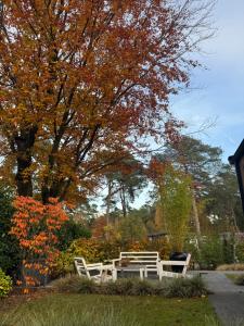 Luxe vakantiehuis “Saalien”