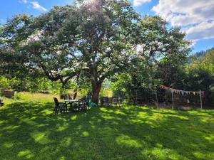 Gîte cosy dans les Vosges