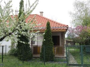 Holiday home in Fonyod - Balaton 18585