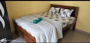 palolem beach residency